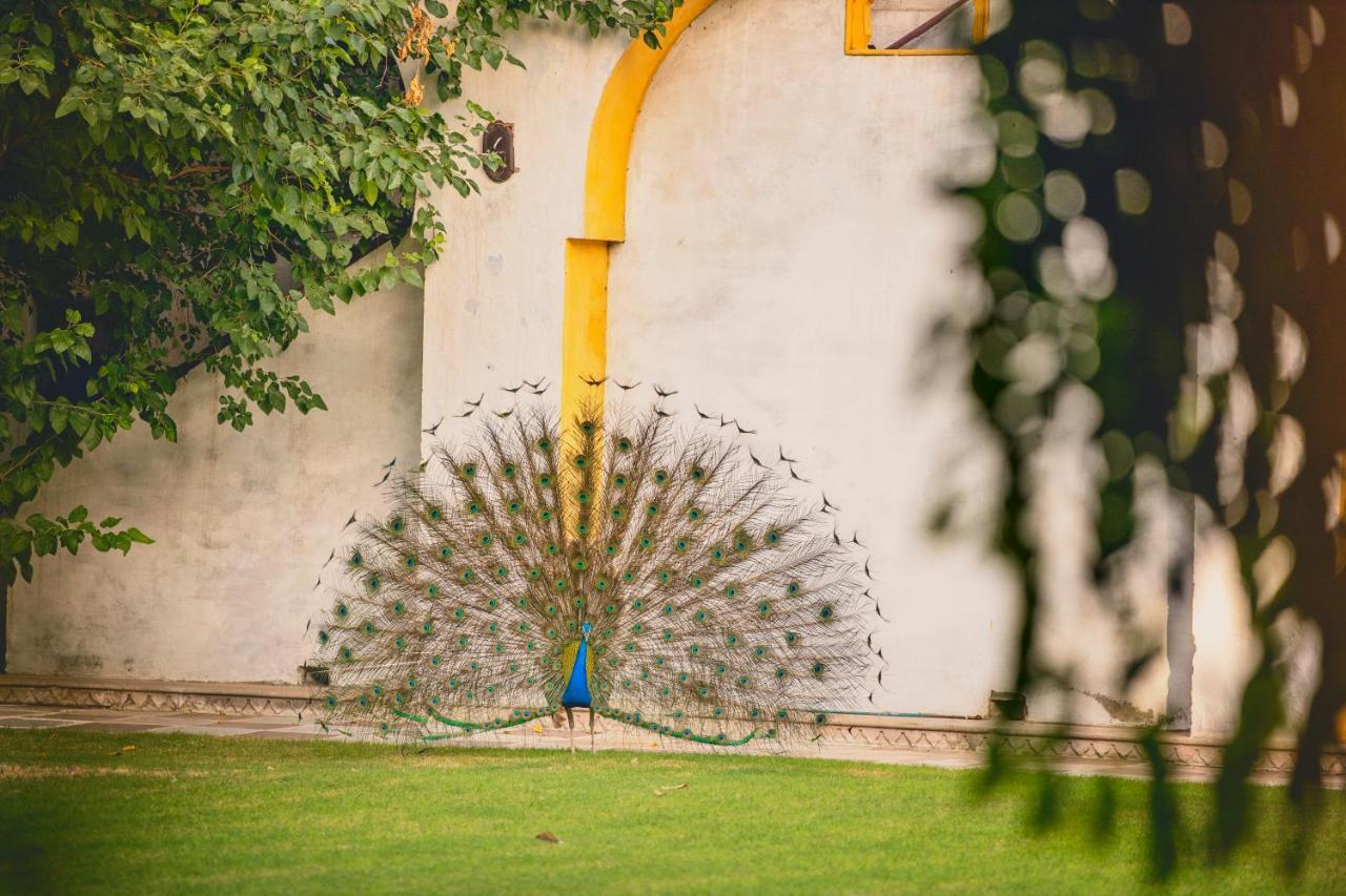 Diggi Palace - A City Center Hidden Heritage Gem Jaipur Eksteriør billede